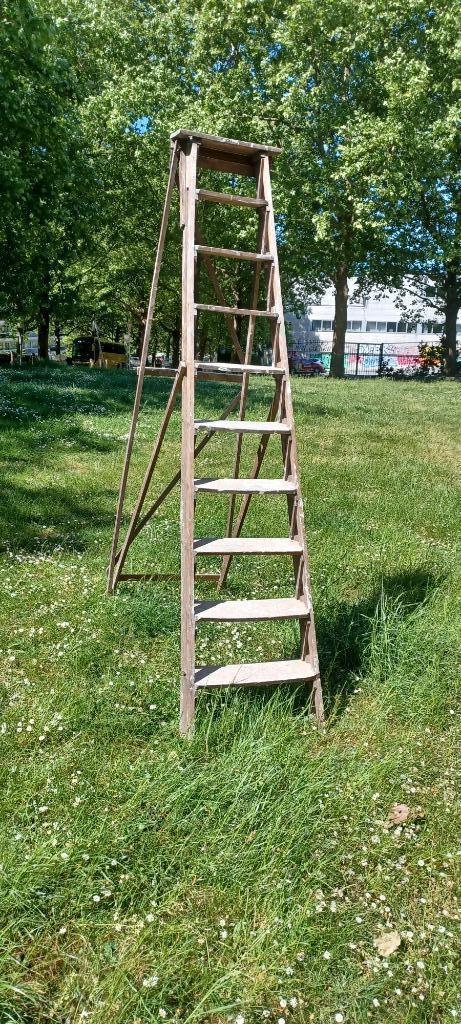 Zeer mooie en zeer oude houten ladder, Antiek en Kunst, Curiosa en Brocante, Ophalen