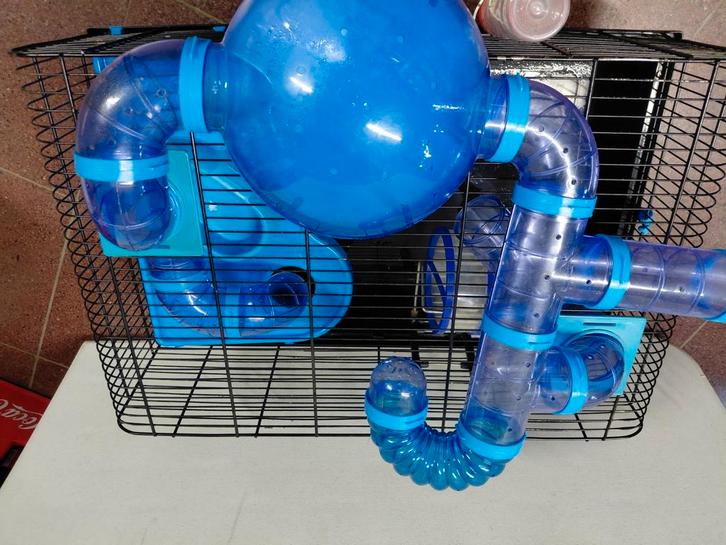 Hamsterkooi met toebehoren en voeding, Dieren en Toebehoren, Knaagdieren en Konijnen | Hokken en Kooien, Gebruikt, Kooi, Ophalen