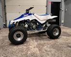 Suzuki LT 500R Quadzilla Quadracer met Kenteken Quad L7E, Motoren, Particulier