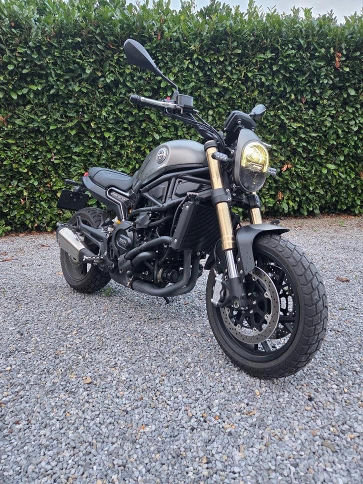 Benelli Leoncino 800 (1e inschrijving 2024), Motoren, Motoren | Benelli, Particulier, Naked bike, meer dan 35 kW, 2 cilinders