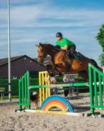 bijrijder aangeboden, Dieren en Toebehoren, Paarden, Springpaard