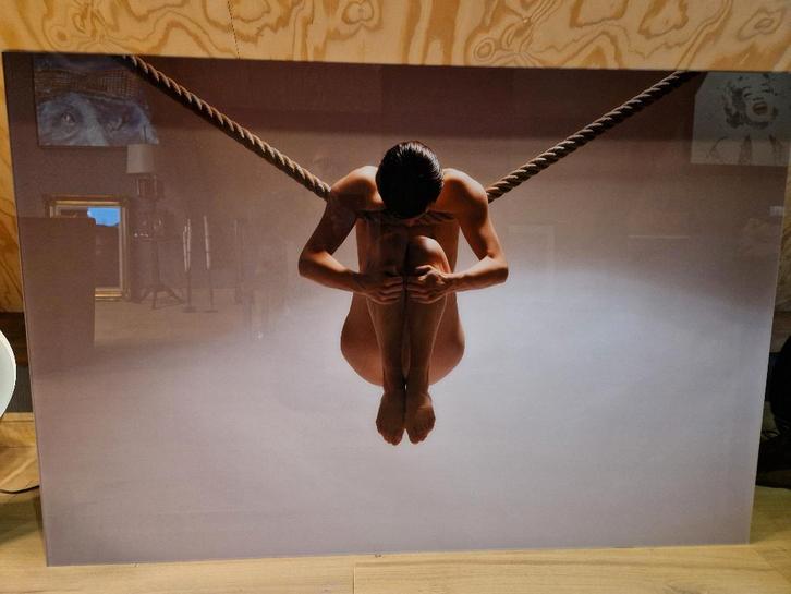 Cobra Art Foto op Plexiglass " Balance of Power ", Antiek en Kunst, Kunst | Litho's en Zeefdrukken, Ophalen of Verzenden