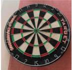 Dartsblok, Sport en Fitness, Darts, Ophalen