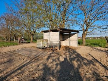 Volpension paddock paradise in Putte (olv waver), Dieren en Toebehoren, Weidegang, 4 paarden of pony's of meer