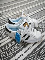 Adidas Superstar Maat 36 Nieuw, Ophalen of Verzenden, Nieuw