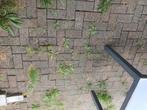 Terras klinkers > 50m2, Ophalen, Gebruikt, 10 m² of meer, Klinkers