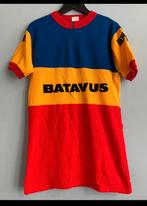 Maillot Cyclisme 1970 Batavus, Ophalen of Verzenden