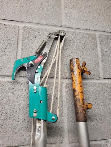 Hoog knipper beschikbaar voor biedingen