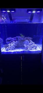 Aquarium, Dieren en Toebehoren, Ophalen, Zo goed als nieuw, Leeg aquarium