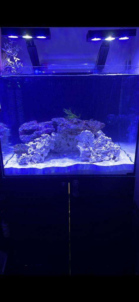 Aquarium, Dieren en Toebehoren, Vissen | Aquaria en Toebehoren, Zo goed als nieuw, Leeg aquarium, Ophalen