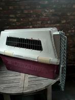 transport box - honden kennel Furrarri, Enlèvement, Utilisé