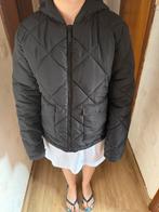 Winterjas dames, Maat 38/40 (M), Zwart, Nieuw, Ophalen of Verzenden