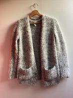Gilet Primark 12/13 jaar, Kinderen en Baby's, Kinderkleding | Maat 158, Meisje, Trui of Vest, Ophalen of Verzenden, Zo goed als nieuw