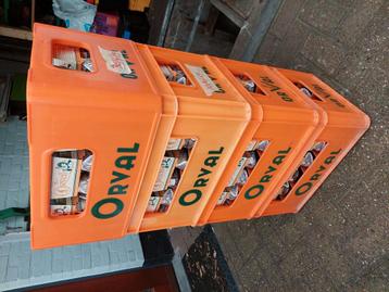 Oude trappist orval 6 jaar oud bier met smaakevolutie beschikbaar voor biedingen
