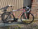 Carbon Koersfiets Basso Mitsubishi & campagnolo, Fietsen en Brommers, Fietsen | Racefietsen, Ophalen, Carbon