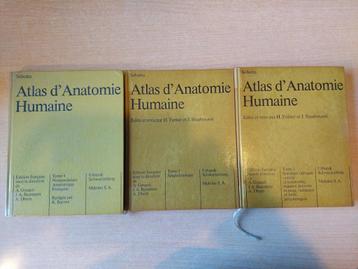 Atlas d'anatomie humaine - Sobotta, Boeken, Sobotta, Overige wetenschappen, Ophalen of Verzenden, Zo goed als nieuw