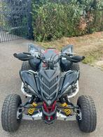 Yamaha Raptor700 r / REEDS GEKEURD