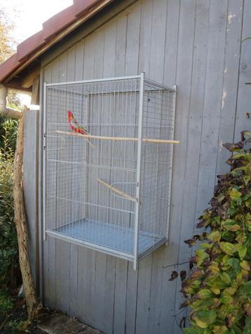 Parkiet met volière beschikbaar voor biedingen