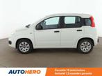 Fiat Panda 1.2 Pop (bj 2017), Auto's, Fiat, Voorwielaandrijving, 4 zetels, Stof, 1242 cc