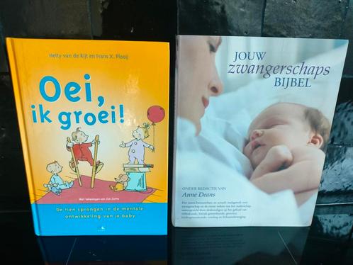 Zwangerschapsboeken: Oei, ik groei + zwangerschapsbijbel, Boeken, Zwangerschap en Opvoeding, Gelezen, Zwangerschap en Bevalling