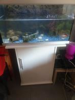 Aquarium Aquatlantis moderne à vendre !, Enlèvement, Utilisé, Aquarium d'eau douce rempli