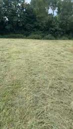 Weide/grasland gezocht, Dieren en Toebehoren, Ophalen