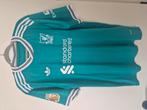 adidas liverpool voetbal shirt  - maat L, Sport en Fitness, Voetbal, Ophalen of Verzenden, Nieuw, Shirt