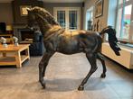 bronzen veulen / paard werkelijke grootte, Antiek en Kunst, Ophalen, Brons