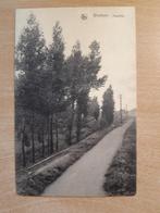 Wintam Rupeldijk, Ophalen of Verzenden