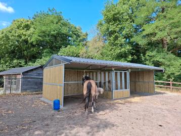 Buitenstal binnen box schuilstal paardenstal schutstal weide beschikbaar voor biedingen