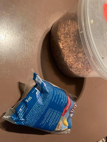 Vogel eten beschikbaar voor biedingen