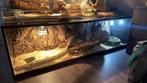 Terrarium, Dieren en Toebehoren, Reptielen en Amfibieën | Toebehoren, Ophalen, Zo goed als nieuw