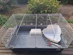Kooi konijn/cavia, Dieren en Toebehoren, Knaagdieren en Konijnen | Hokken en Kooien, Kooi, Gebruikt, Cavia, 75 tot 110 cm