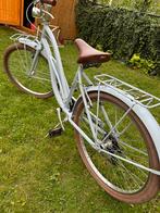 Fiets met fietscar, Fietsen en Brommers, Fietsen | Cruisers en Lowriders, Ophalen, Zo goed als nieuw