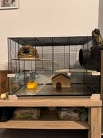Knaagdierkooi terrarium, Dieren en Toebehoren, Ophalen, Zo goed als nieuw