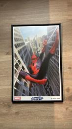 The Amazing Spider-Man Litho Alex Ross, Verzamelen, Posters, Ophalen of Verzenden, Nieuw, Film en Tv