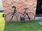 Damesfiets Ridley Tempo, Ophalen, Zo goed als nieuw