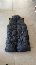 Bodywarmer dames, Kleding | Dames, Bodywarmers, Ophalen, Vero Moda, Zwart, Maat 46/48 (XL) of groter
