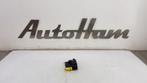 CAMERA VOOR Fiesta 7 (|H1BT19H406AD|H1BT19H406AE|2215643|), Gebruikt, Ford