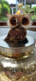 2 uiltjes met echte pels haartjes (aankoop Oostenrijk, Collections, Collections Animaux, Animal empaillé, Enlèvement ou Envoi