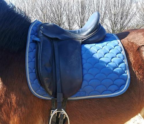 Dressuurzadel Ainsley Vanguard Popular, Dieren en Toebehoren, Paarden en Pony's | Zadels, Gebruikt, Dressuur, Ophalen of Verzenden