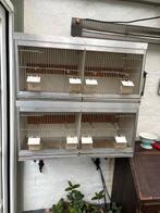 aluminium kweekkooien, Ophalen, Zo goed als nieuw, Aluminium, Broedkooi of Kweekkooi