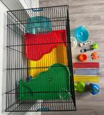 Cage pour hamster (Rongeur) + accessoires, Animaux & Accessoires, Rongeurs & Lapins | Cages & Clapiers, 60 à 90 cm, Utilisé, Cage