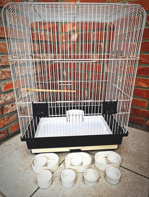 Ruime Vogelkooi met eetbakjes. Kan wat poetswerk gebruiken, Dieren en Toebehoren, Vogels | Hokken en Kooien, Gebruikt, Vogelkooi