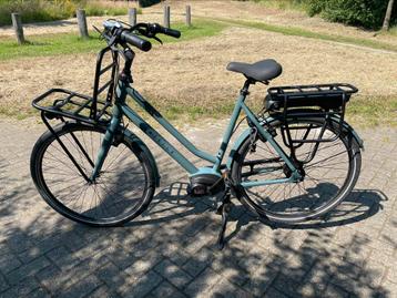 2 x Bosch Dames E-Bike Handelaar gezocht 