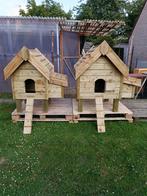 poussins, poules pondeuses, poules d'ornement, enclos, porte, Animaux & Accessoires, Plusieurs animaux, Poule ou poulet