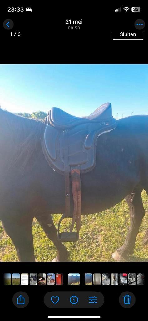 Boomloos zadel Freerider met stijgbeugels en riemen (bruin), Dieren en Toebehoren, Paarden en Pony's | Zadels, Gebruikt, Overige soorten
