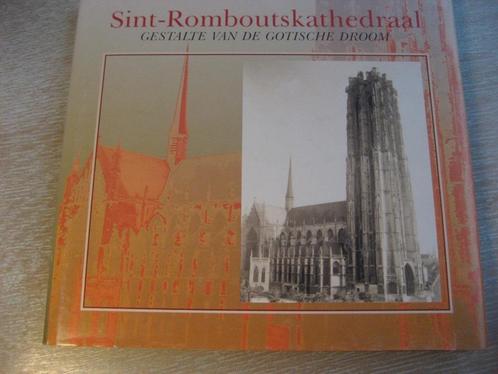 Sint-Romboutskathedraal, gestalte van de Gotische droom, Livres, Art & Culture | Architecture, Enlèvement ou Envoi