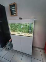 Aquarium aquael glossy 80, Dieren en Toebehoren, Vissen | Aquaria en Toebehoren, Ophalen of Verzenden, Zo goed als nieuw, Overige typen