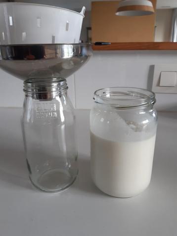 kéfir de lait beschikbaar voor biedingen